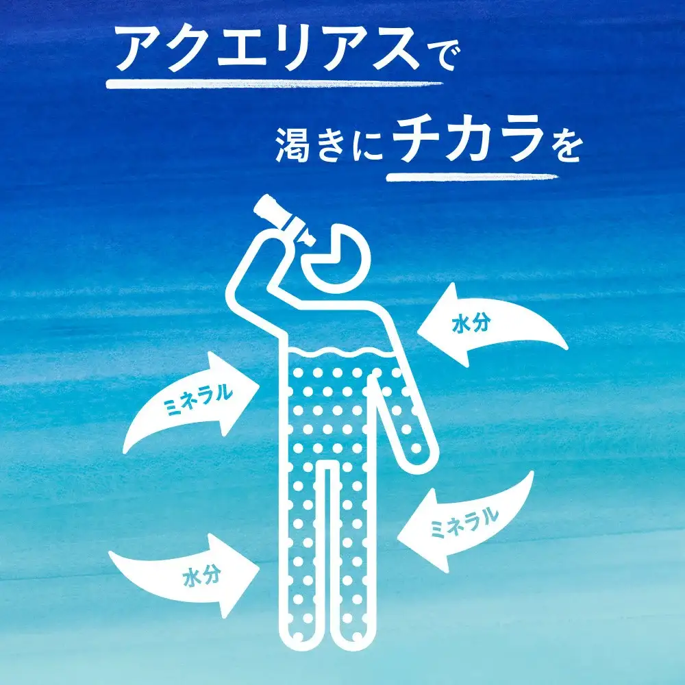 【5か月連続お届け】アクエリアス　500ml PET×24本　【04301-0041】