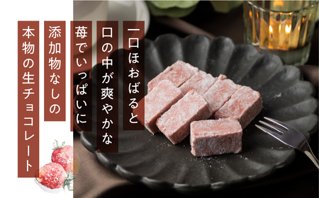 瀬戸川の石畳 生チョコ フレーズ(苺味) 16粒入  チョコレート 