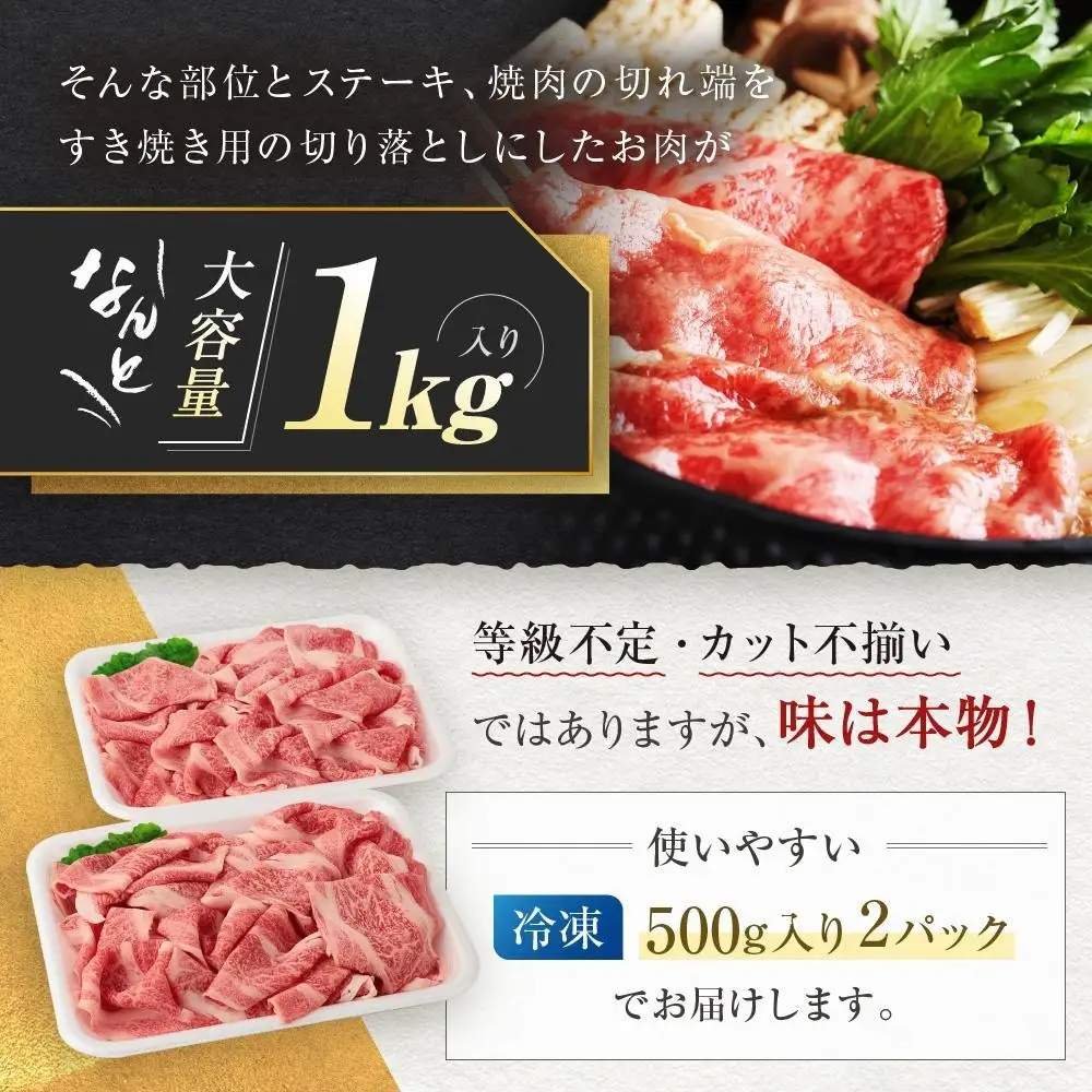訳あり 飛騨牛すき焼き用切り落とし1kg すき焼き BV026