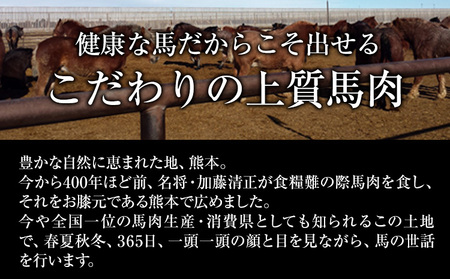 馬刺し1kg セット 赤身馬刺し900g＋霜降り100g