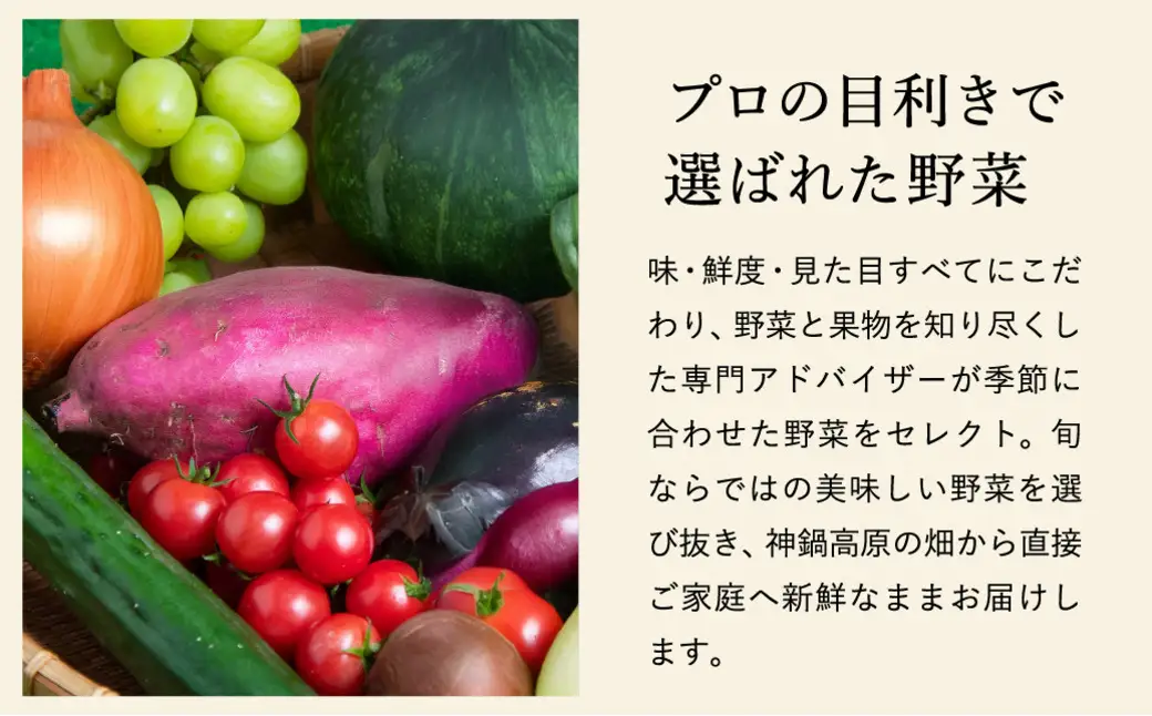 「高原の畑から直送」神鍋高原 季節の新鮮お野菜 詰め合わせセット 充実の5～10品｜ベジタブル＆フルーツアドバイザーがセレクト【兵庫県北部豊岡市にある「道の駅神鍋高原」からお届けします】