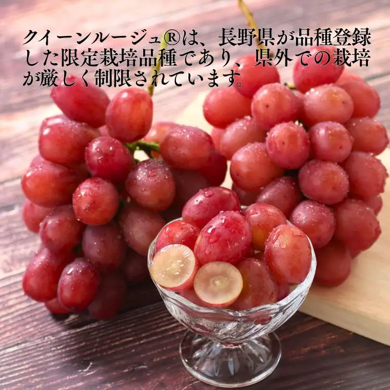 MS35 ぶどう クイーンルージュ®（長野県産秀品） 約2kg / 2026年10月中旬～11月上旬頃 配送予定 // 稀少 新品種 長野県 南信州 高糖度 葡萄 ブドウ クインルージュ 甘い 種なし 皮ごと