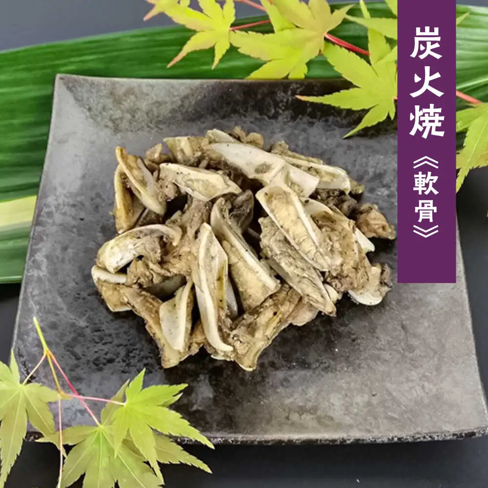 鶏の煮込み『もみじ』と炭火焼 (計9パック)｢鳥市｣ 大分県 日田市 炭火焼 もみじ 鶏肉 [ARDG002]
