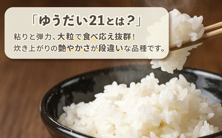 【令和6年産】 坂井市産 特別栽培米 ゆうだい 5kg 減農薬 減化学肥料 【お米 5キロ 特別栽培 ふるさと納税米 産地直送 福井県】 [A-4842]