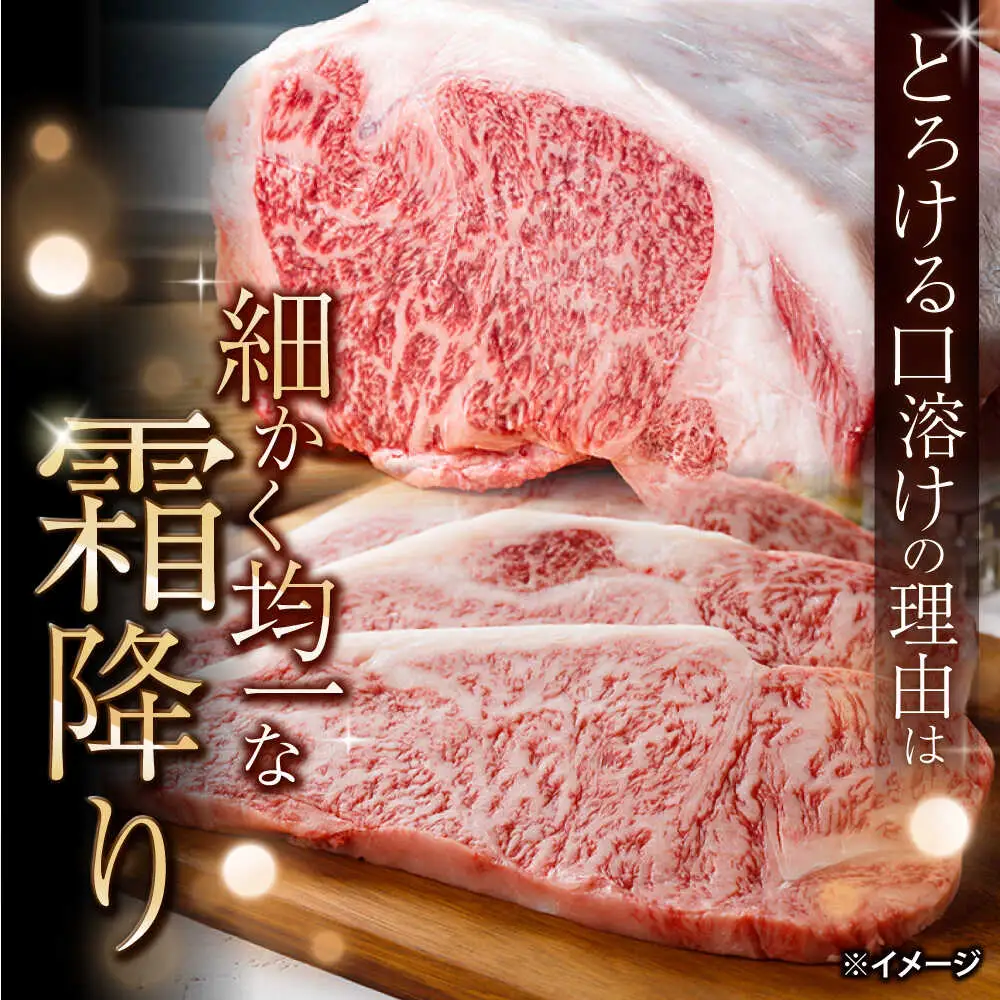 長崎和牛サーロインステーキ 400g [CEK190]｜ 和牛ステーキ