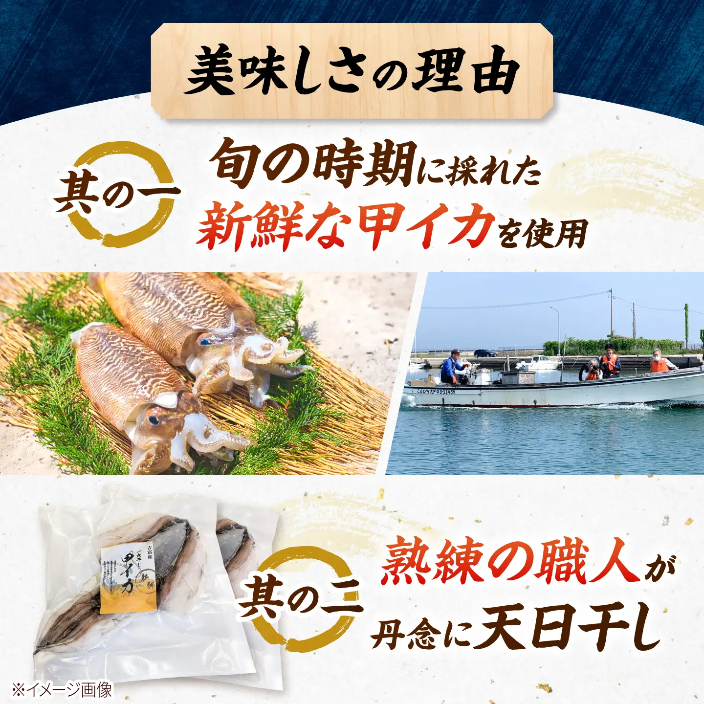 甲イカ一夜干し 5枚 [BGAW001] いか 一夜干し 干物