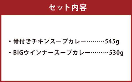 冷凍 スープカレー 定番 2食 セット ／ 2パック 計約1kg カレー スープ チキン ウィンナー 惣菜 冷凍 福岡県 筑後市