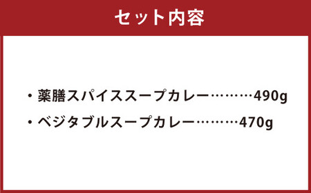 冷凍 スープ カレー  ヘルシー 2食 セット ／ 2パック 計約1kg  カレー スープ 薬膳 ベジタブル 冷凍 福岡県 筑後市