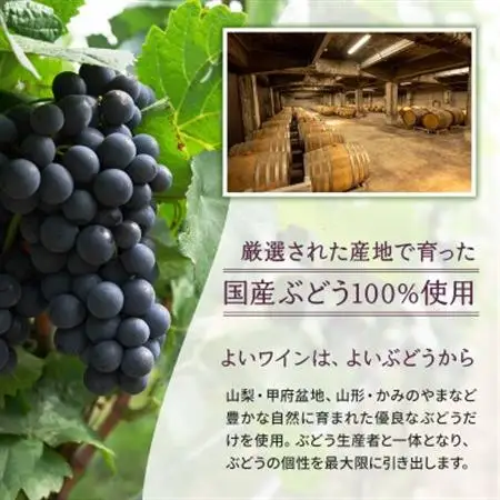 山梨牧丘倉科畑シャルドネ カベルネ・ソーヴィニヨン 赤白ワイン計2本セット【1621179】