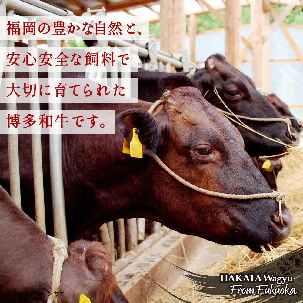 博多和牛 すき焼き用リブローススライス 定期便全6回 計約3.6kg(約600g×6回)
