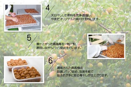 紀州南高梅はちみつ極塩分約6％（850ｇ）_YD1006