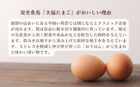 たまご 30個 平飼いこだわり たまご