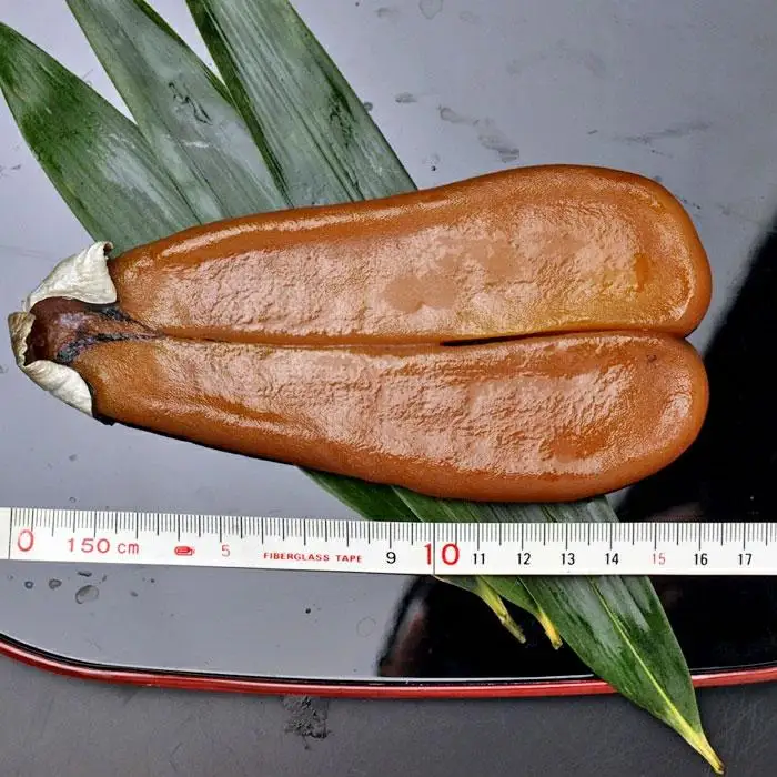 C04-E02 熟成からすみ 900g