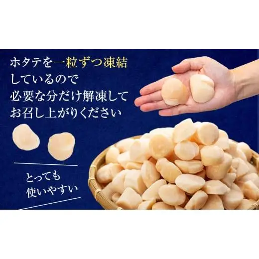 C01-H08 刺身用ホタテ貝柱 1.5kg