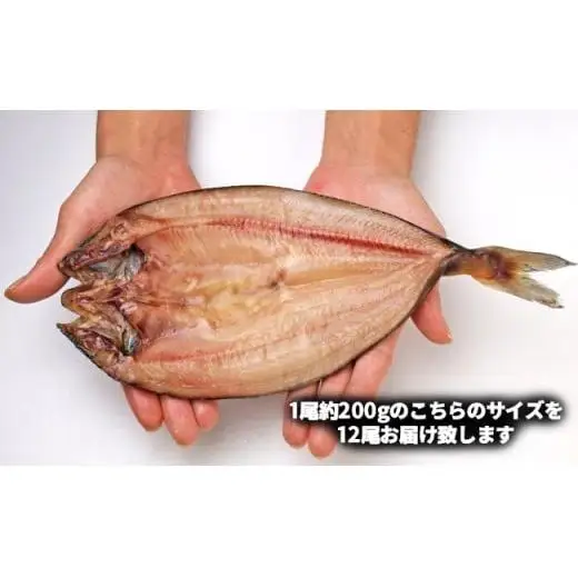 C01-E13 ホッケ干物 12枚
