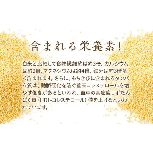 AB1-001 千葉県長生村産　もちきび（200g×3袋セット）