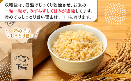 AB1-004 特別栽培米　コシヒカリ（玄米）5kg