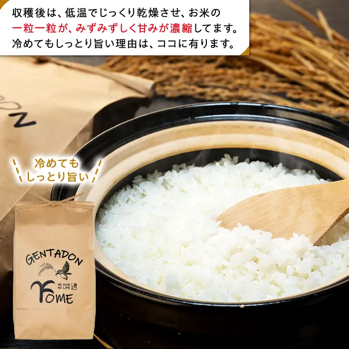 AB1-005 特別栽培米　コシヒカリ（白米）9kg