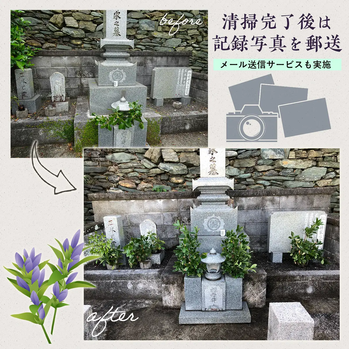 お墓の掃除代行サービス 年2回コース  IKTAA002 