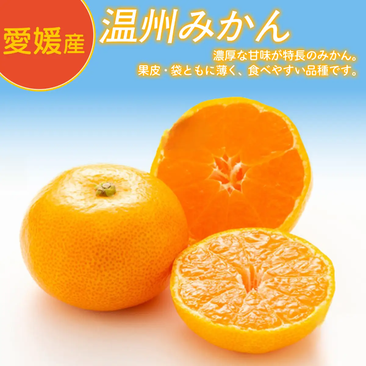 Premiumみかんジュース（2本セット）※北海道・沖縄・離島への配送不可【 ふるさと納税 人気 おすすめ ランキング 柑橘 みかん ミカン フルーツ みかんジュース オレンジジュース 温州みかん 温州ミカン 温州蜜柑 果物 ジュース 愛媛  OKUBO FARM 愛媛県 伊方町 送料無料 】 IKTAT002 