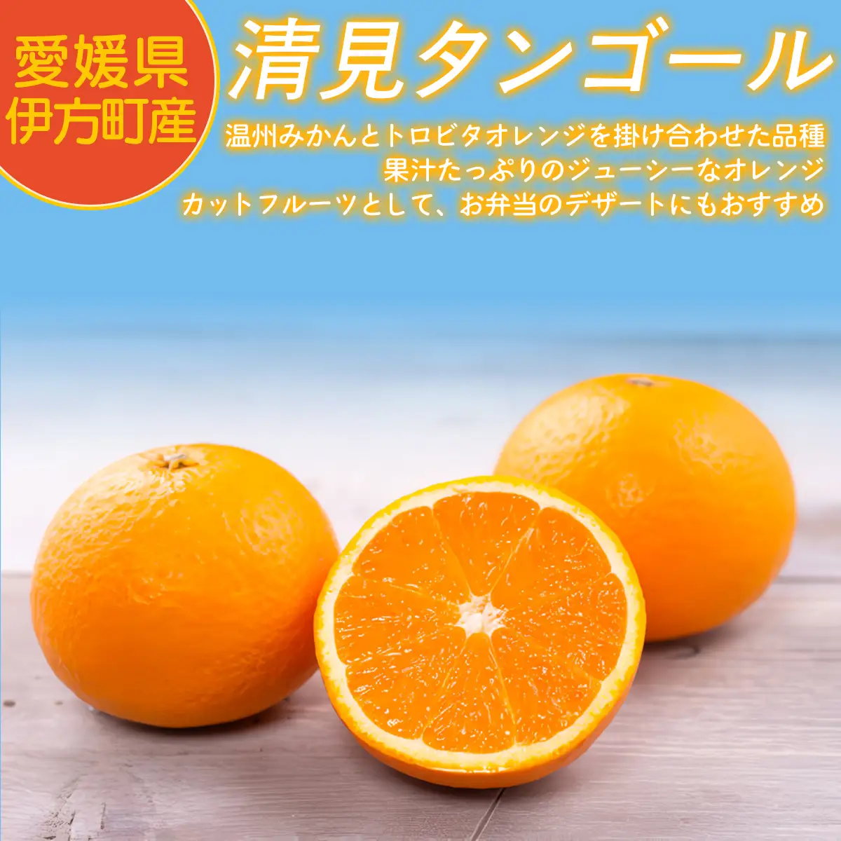 【先行予約】【家庭用】清見タンゴール 3kg ※北海道・沖縄・離島への配送不可（2027年3月11日より順次発送） IKTAT005 | 清見タンゴール