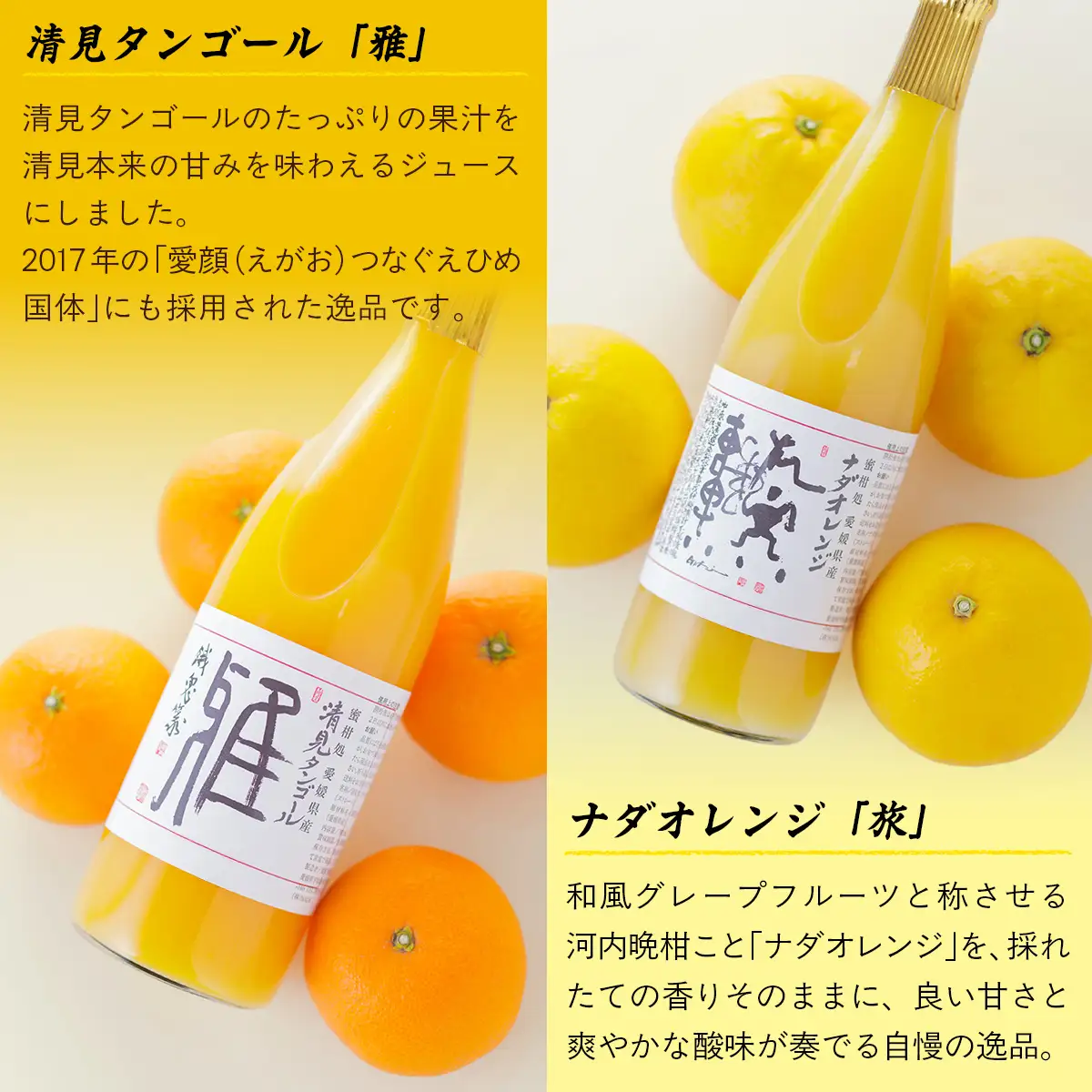 愛媛県産 果汁100％みかんジュース2本入りセット（清見・ナダオレンジ） IKTC011 