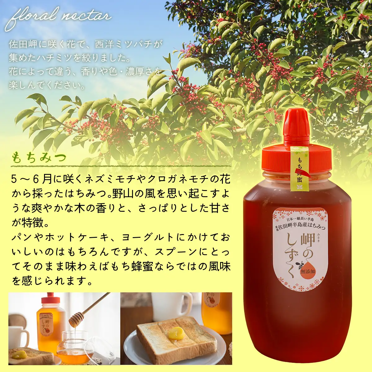 【もち蜂蜜】みかん農園のはちみつ 1kg×3本入 ※離島への配送不可  IKTC013 