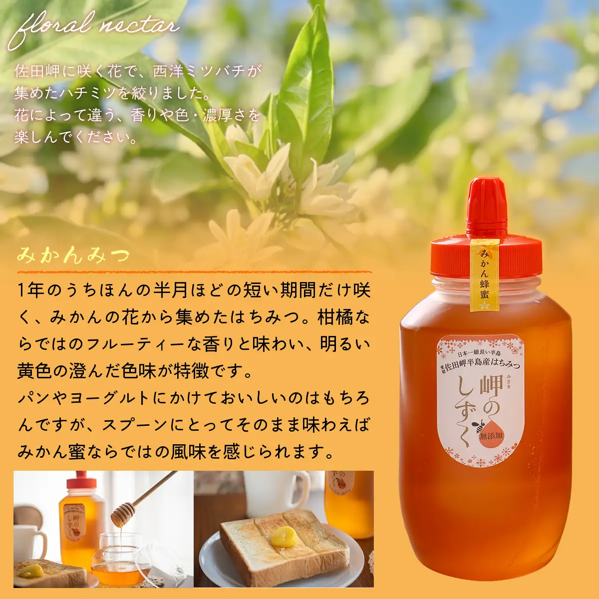 【みかん蜜】みかん農園のはちみつ 1kg×3本入 ※離島への配送不可 IKTC015 