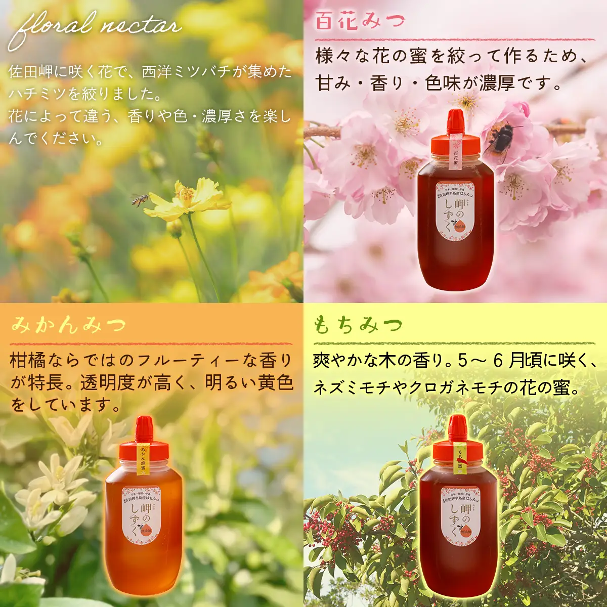 【蜂蜜3セット】みかん農園のはちみつ（もち蜂蜜・百花蜜・みかん蜜） ※離島への配送不可IKTC016 