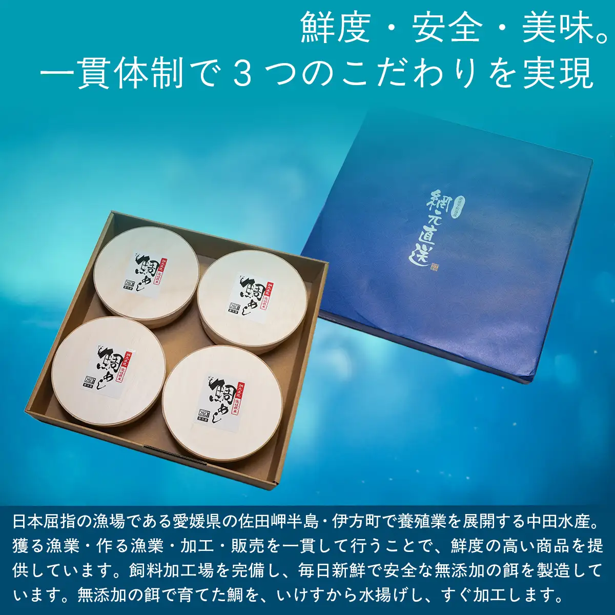 鯛めしセット（4個入り） 【 ふるさと納税 人気 おすすめ ランキング 鯛 鯛めし 海鮮 魚介 魚 冷凍 宇和海産 セット 詰合せ 愛媛県 伊方町 送料無料 】 IKTN003