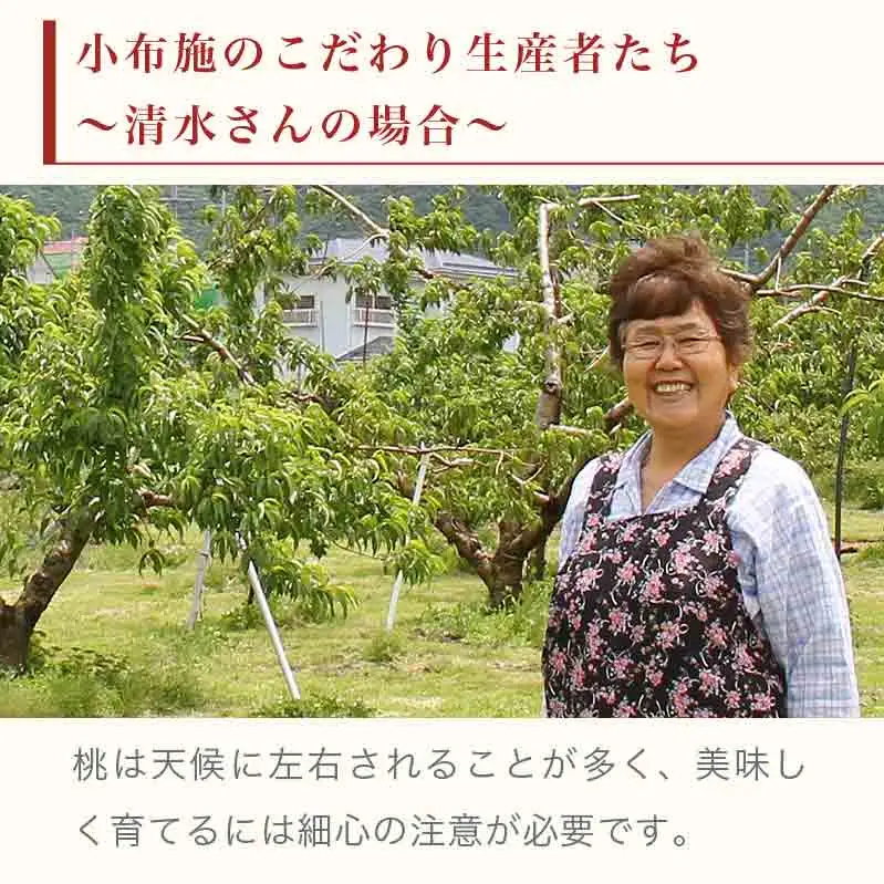 黄金桃 約3kg 7～12玉 ［小布施屋］ 桃 もも モモ フルーツ 果物 令和8年産 【2026年8月下旬～9月上旬発送】 ［A-11］