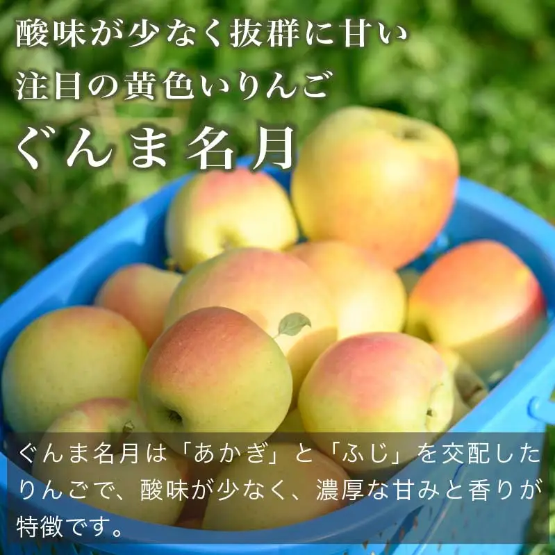 【訳あり】 ぐんま名月 約3kg 6～12玉 ［おぶせファーマーズ］  不揃い 規格外 家庭用 果物 フルーツ りんご リンゴ 林檎 長野県産 信州産 令和8年産 【2026年11月上旬～12月下旬発送】 ［FH-55］