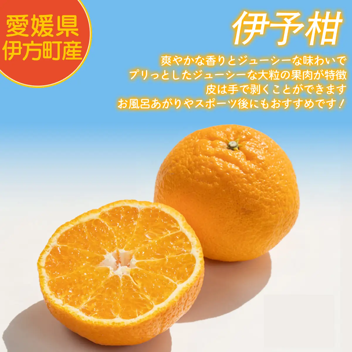 【先行予約】【家庭用】伊予柑 3kg ※北海道・沖縄・離島への配送不可 （2027年1月16日より順次発送予定） 【 柑橘 みかん ミカン 伊予甘 フルーツ 果物 】 IKTAT004 