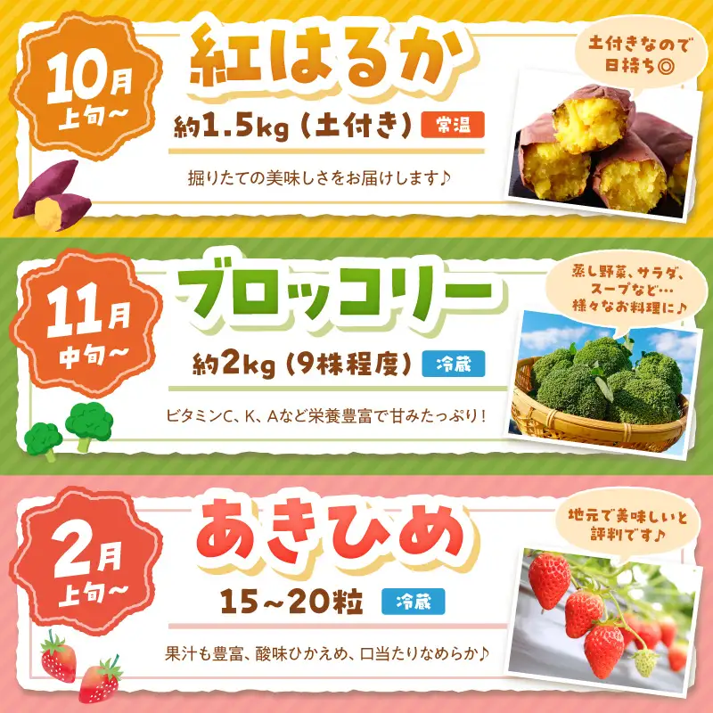 【旬の野菜定期便】イチゴやヤサイ 全5種  旬野菜