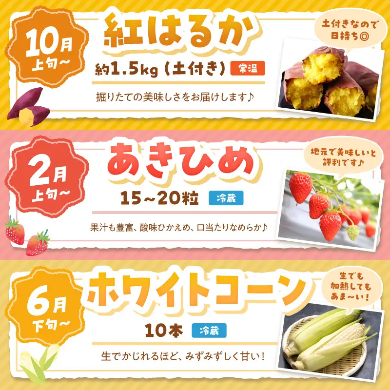 【野菜】旬野菜3回定期便｜サツマイモ.ホワイトコーン.イチゴ