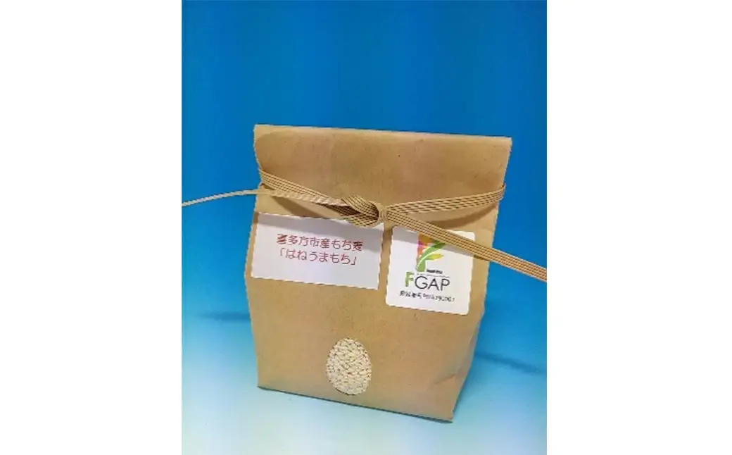 もち麦　国産　喜多方市産　700g　【07208-0637】 