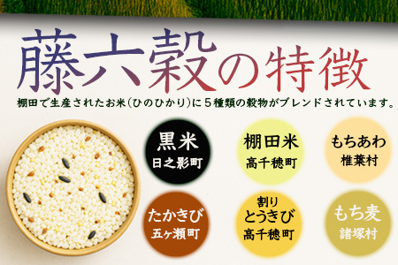 【3回定期便】【雑穀米】藤の花色に染まる美しい六穀米《藤六穀》300g×1袋 3回配送【世界農業遺産 高千穂郷・椎葉山地域】雑穀米 定期便 うるち米 たかきび 挽割とうもろこし もちあわ もち麦 黒米 TT-12