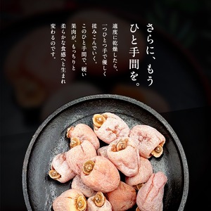 市田柿 贈答用 500g 【2026年1月上旬～発送】
