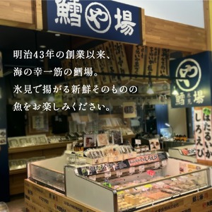 【隔月3回】一夜干し4種詰合せ定期便《カマス・アジ・イワシ・スルメイカ》 富山県 氷見市 定期便 干物 かます あじ 鰯 いわし いか おかず 一品