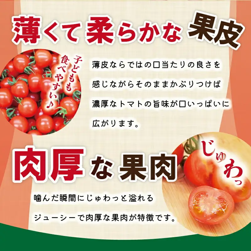 明和町産 完熟 トマト ほれまる 1kg ミニトマト 朝採り 新鮮 生鮮 野菜 あっさり