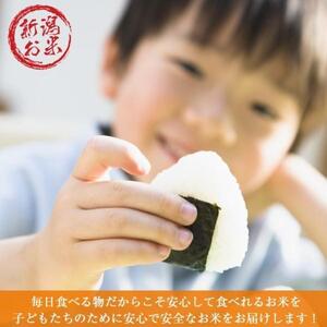 令和7年産 新潟コシヒカリ20kg(5kg×4) こしひかり 精米