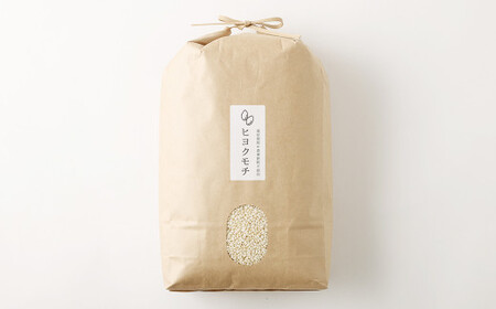 福岡県産 栽培期間中 農薬・肥料不使用 もち米 【五分づき】5kg 1袋 ／ 餅米 もち 米 お米 おこわ 赤飯 福岡県 筑後市