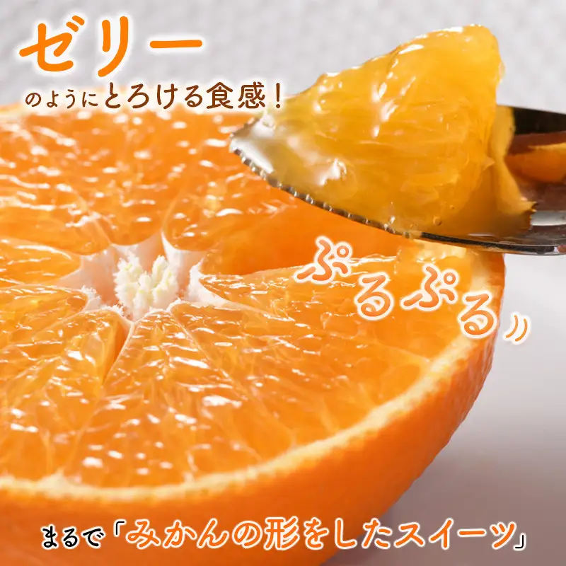 【先行予約】【ご家庭用】【数量限定】今治産 紅まどんな ５kg（Mサイズ）