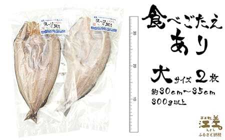 ＼配送時期指定可／北海道かもめ島特産 とった漁師が自らつくる こだわりのほっけの開き 大サイズ 2枚　約30cm～35cm 300g以上　食べごたえあり　甘塩　漁師直送　北海道日本海のホッケ　一夜干し　魚の干物　国産