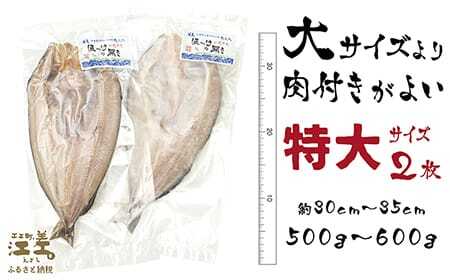 ＼配送時期指定可／【特大】北海道かもめ島特産 とった漁師が自らつくる こだわりのほっけの開き 〈特大〉サイズ 2枚　約30cm～35cm 500g以上700g未満　大サイズより肉付きがよい　甘塩　漁師直送　北海道日本海のホッケ　一夜干し　魚の干物　国産