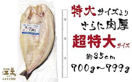 ＼配送時期指定可／【超特大700gアップ】北海道かもめ島特産 とった漁師が自らつくる こだわりの ほっけの開き 〈超特大〉サイズ 1枚　約35cm 700g以上800g未満　大サイズより肉付きがよい　甘塩　漁師直送　北海道日本海のホッケ　一夜干し　魚の干物　国産