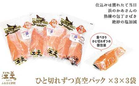 船上活〆・神経〆北海道江差産 天然秋鮭の新鮮塩鮭切り身 9切れ　個包装　国産　手作り　秋あじ　鮭　さけ　サーモン　新物