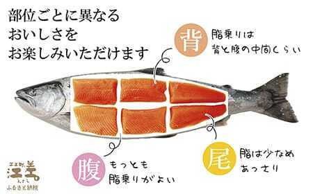 船上活〆北海道日本海産 本マス〈サクラマス〉ルイベ〈冷凍刺身〉6ブロック×2パック　1尾分　小分けの食べ切りサイズ個包装　トロける旨さ　癖のない上品な旨みと脂のり　「鮭より美味い」という評判も　アイヌ伝統の冷凍刺身　神経締め　活締め　桜鱒　サーモン