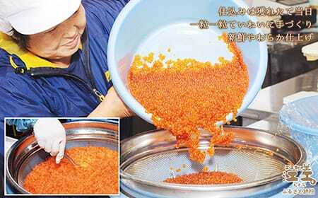 船上活〆・神経〆北海道江差産 天然秋鮭の極上いくら醤油漬け 1kg　100gパック　国産　手作り　いくら　秋あじ　鮭　さけ　サーモン　新物
