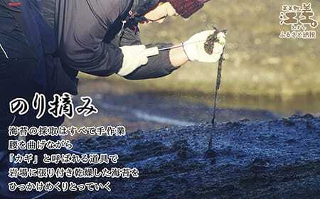 かもめ島の岩海苔〈天然・無添加・手摘み手打ち〉全形10枚　数量限定　北のハイグレード食品2022選定「江差名産 黒のり」　希少な「天然岩ノリ」だけで漁師が手作り　最高級の生干し板海苔　漁師めし　絶品海苔弁当　最高のおにぎり　国産海藻　北海道日本海